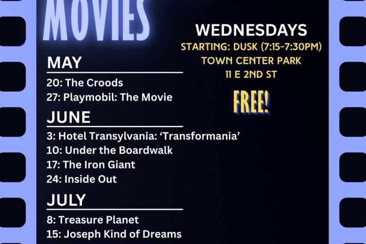 moonlight movies in the park poster