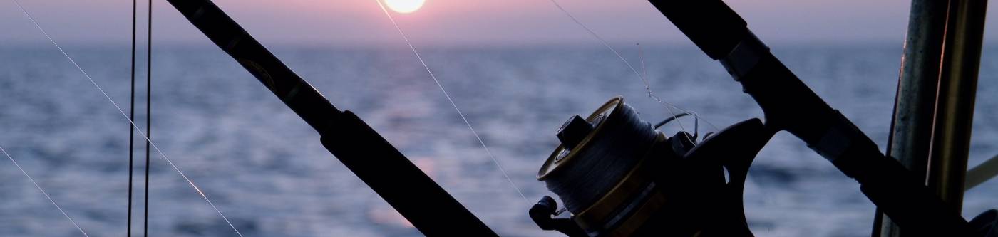Fishing poles on a fishing charter